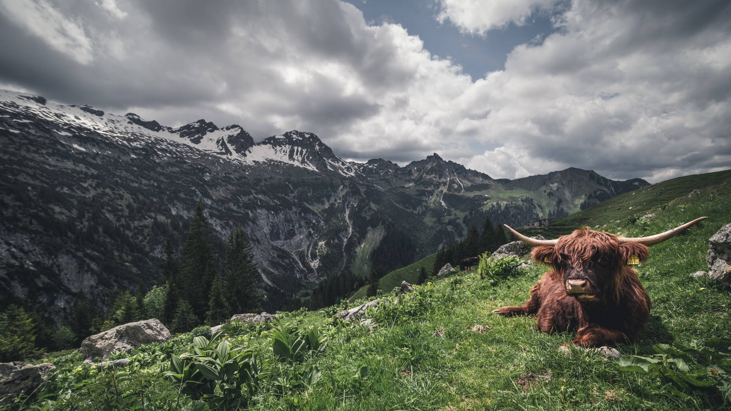 跨越时空的竞技场，从灰熊的生死逆袭到爱德华兹的欧冠接管之夜